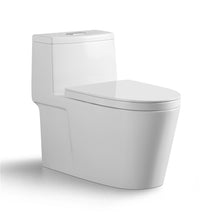 Load image into Gallery viewer, GASDUM™ ONE PIECE COMMODE 5517
