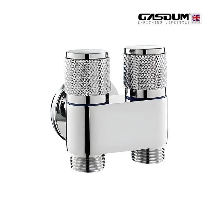 GD-DB-303 PREMIUM TOILET TWO IN BIB COCK CHROME